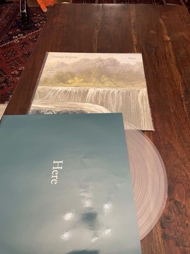 Teenage fanclub here uk - -, 2016