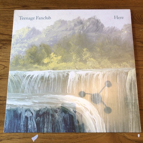 Teenage fanclub here - teenage,