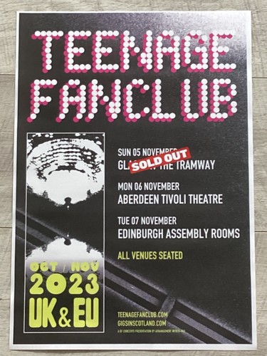 Teenage fanclub concert - teenage,