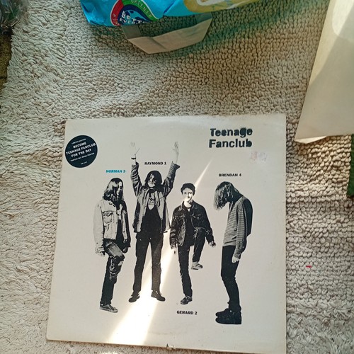 Badly damaged sleeve lp - sleeve,