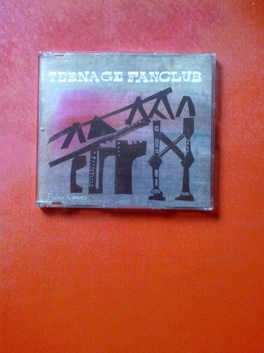 Teenage fanclub fallen - teenage,